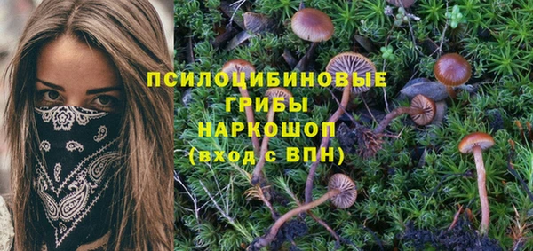кокаин премиум Новодвинск