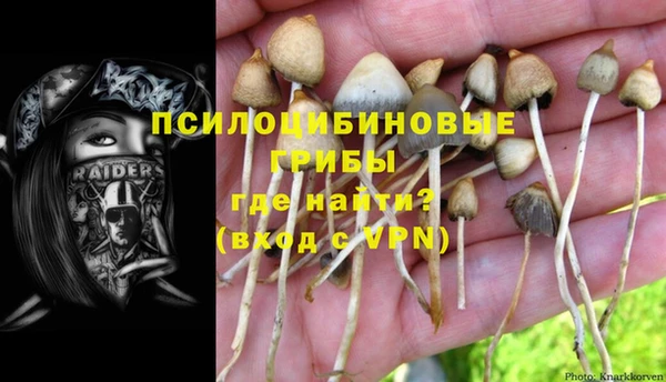 бутик Новозыбков