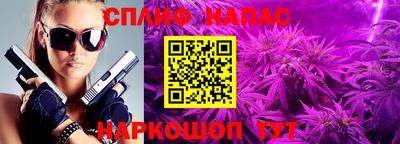 прущие грибы Краснознаменск