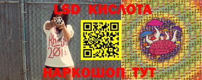 прущие грибы Краснознаменск