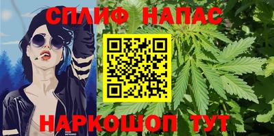 прущие грибы Краснознаменск