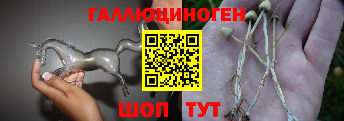 Псилоцибиновые грибы Cubensis Нижневартовск